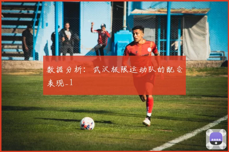 数据分析：武汉极限运动队的配合表现_1