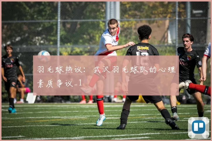 羽毛球热议：武汉羽毛球队的心理素质争议_1