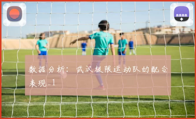 数据分析：武汉极限运动队的配合表现_1