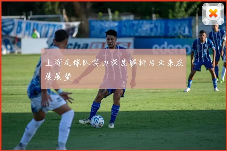 上海足球队实力深度解析与未来发展展望