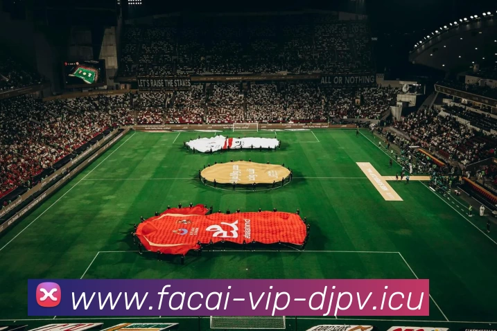 华体会体育发展历程