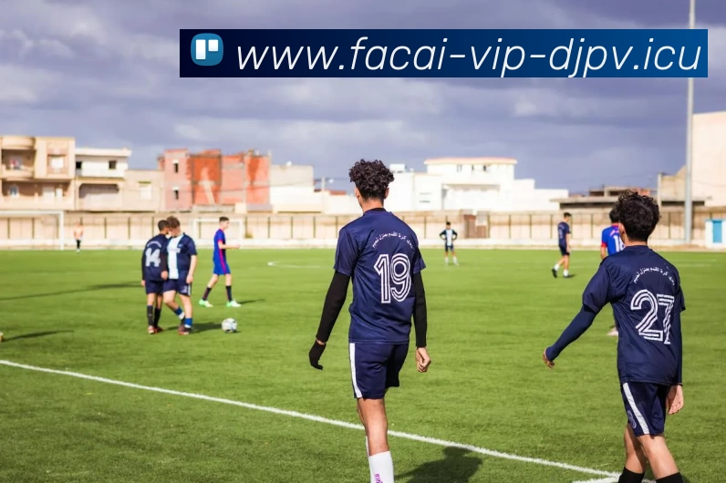 数据分析：武汉极限运动队的配合表现_1